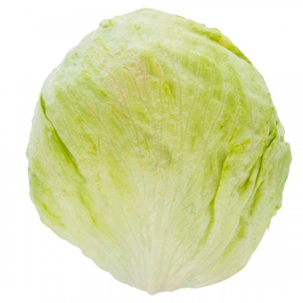 کاهو پیچ مقدار 1 عدد (حداقل 400 گرم)