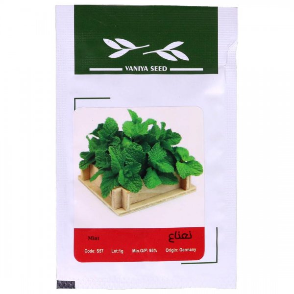بذر نعناع (Mint) وانیا آذر سبزینه مقدار 1 گرم