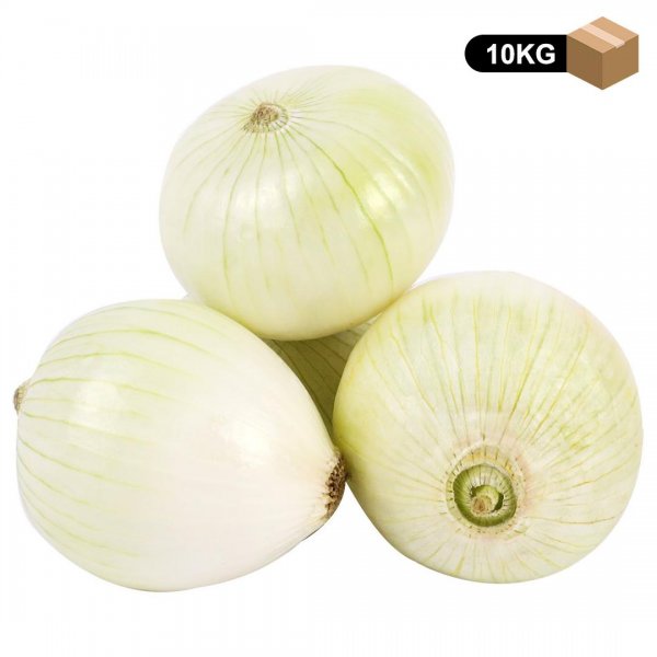 پیاز سفید مقدار 10 کیلوگرم
